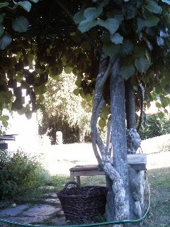 Moudon_2